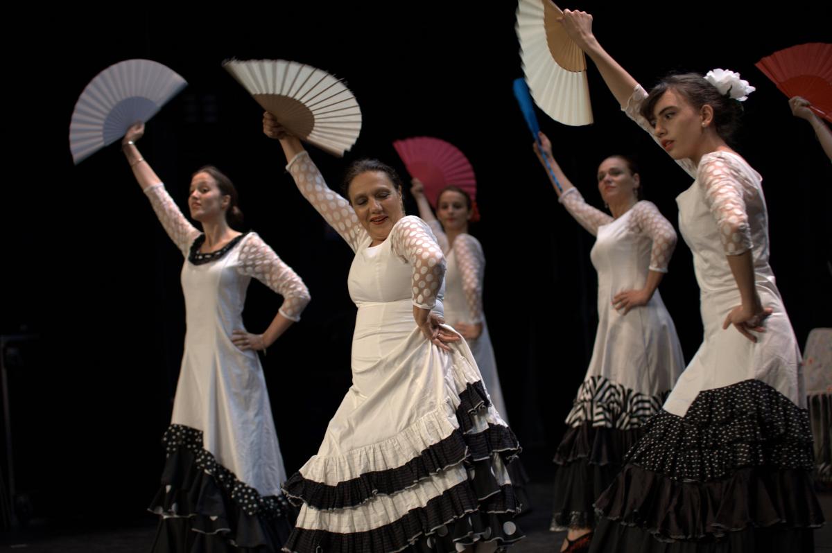 cours de flamenco paris